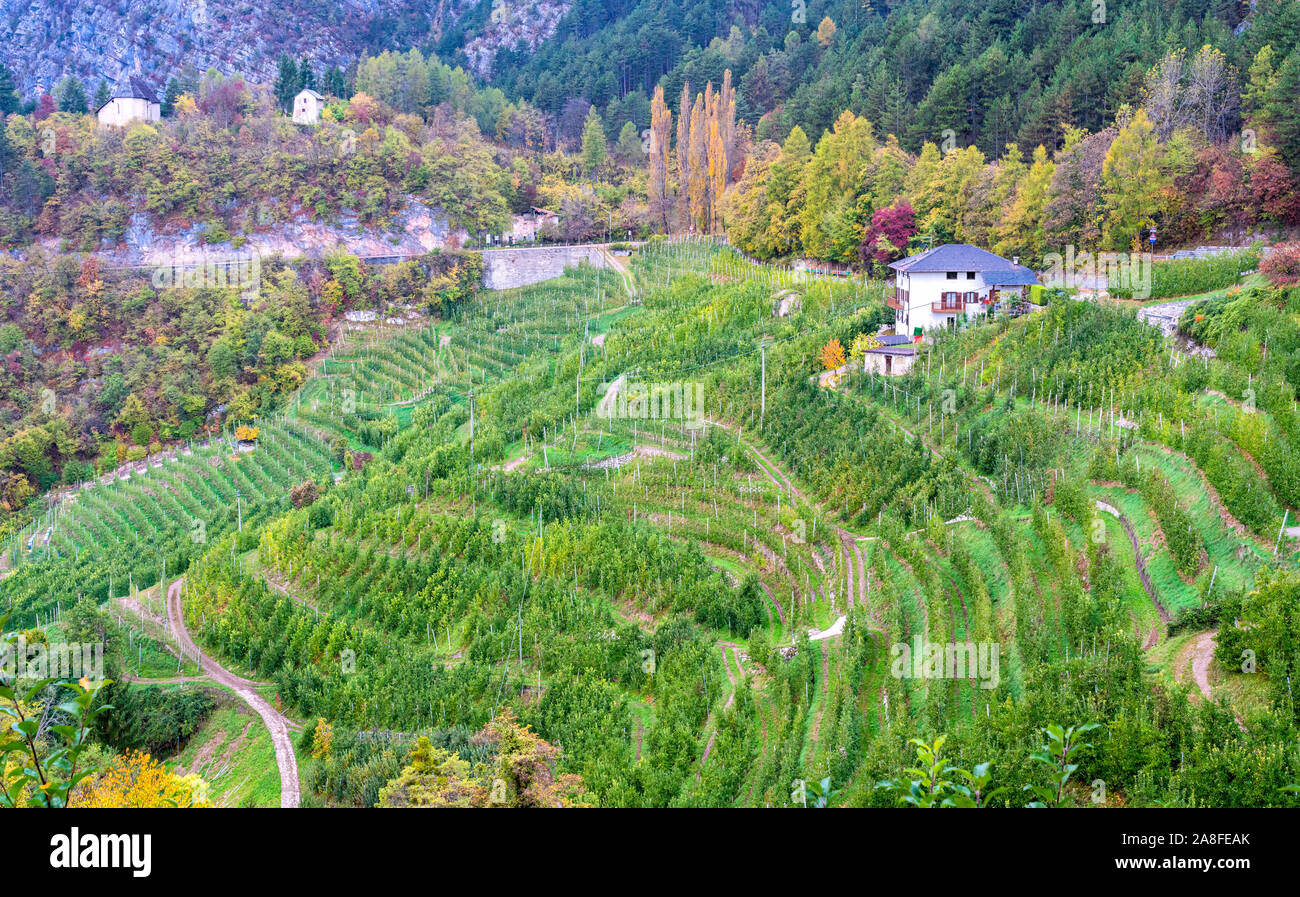 Idyllische herbstliche Ansicht im Val di Non, Provinz Trento, Trentino-Südtirol, Italien. Stockfoto
