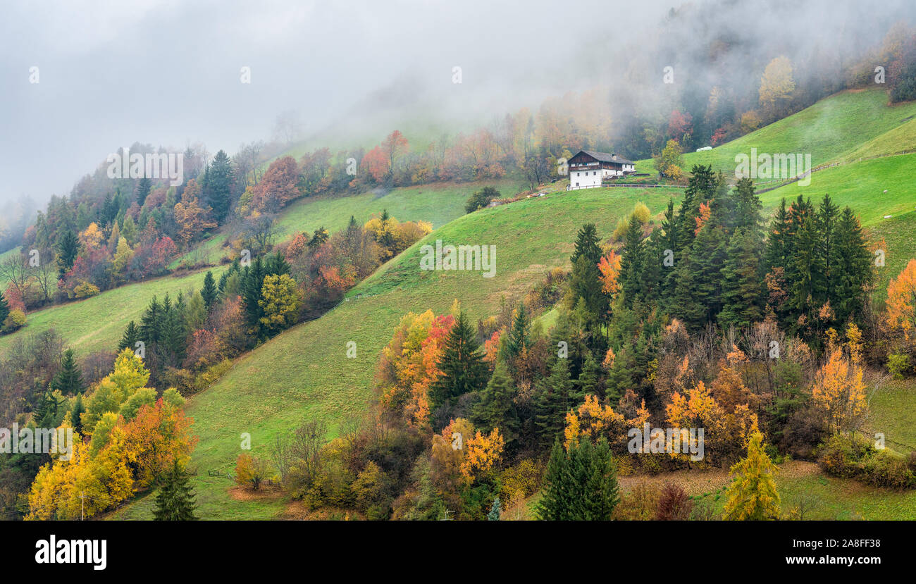 Herbstliche Panorama in Santa Magdalena Dorf in der berühmten Val di Funes. Trentino Alto Adige, Italien. Stockfoto