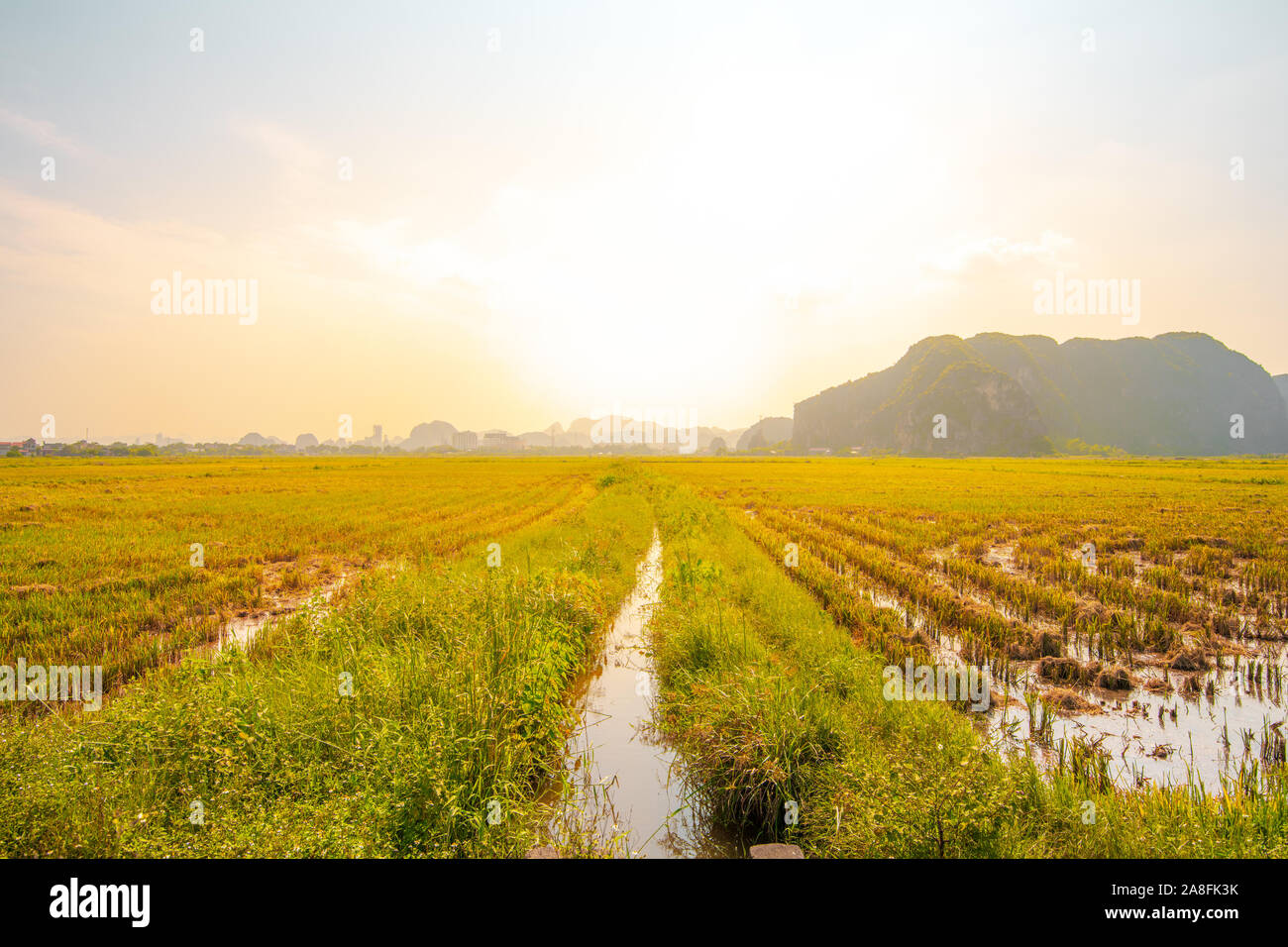 Schönen Sonnenaufgang über abgeerntete Reisfelder und Kalkstein Berge in dem kleinen Dorf Tam Coc, Northern Vietnam Stockfoto