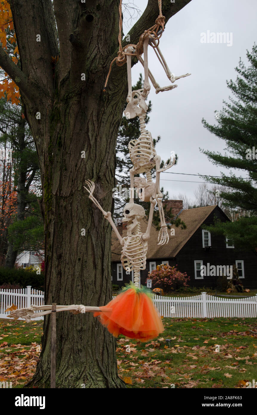 Skeletongs spielen und Schwingen im Vorgarten, Yarmouth, Maine, USA Stockfoto
