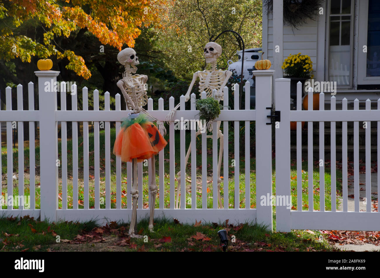 Gerne Skelett Nachbarn reden über den Zaun für Halloween, Yarmouth, Maine, USA gekleidet Stockfoto