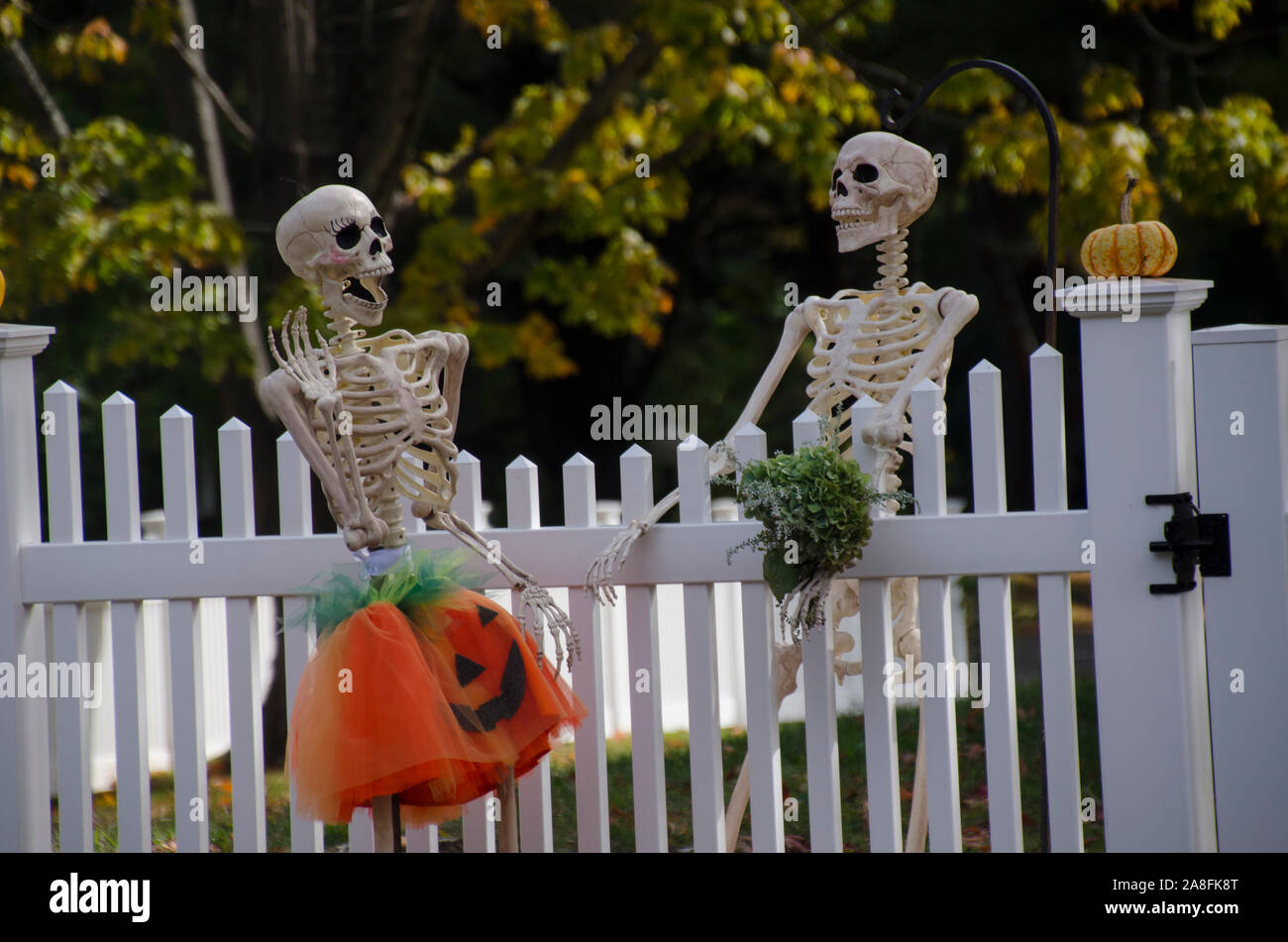 Gerne Skelett Nachbarn reden über den Zaun für Halloween, Yarmouth, Maine, USA gekleidet Stockfoto