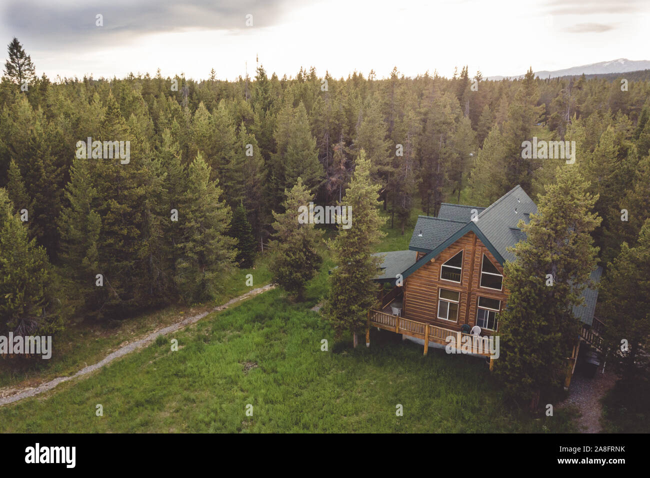 Holzbalken Kabine inmitten üppiger Wald anmelden Stockfoto