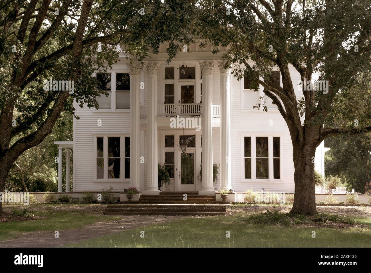 Ein Antebellum im neoklassischen Design von korinthischen Säulen und großen Eichen ein Vordach Eingang in Hattiesburg, MS hervorgehoben wird, Stockfoto