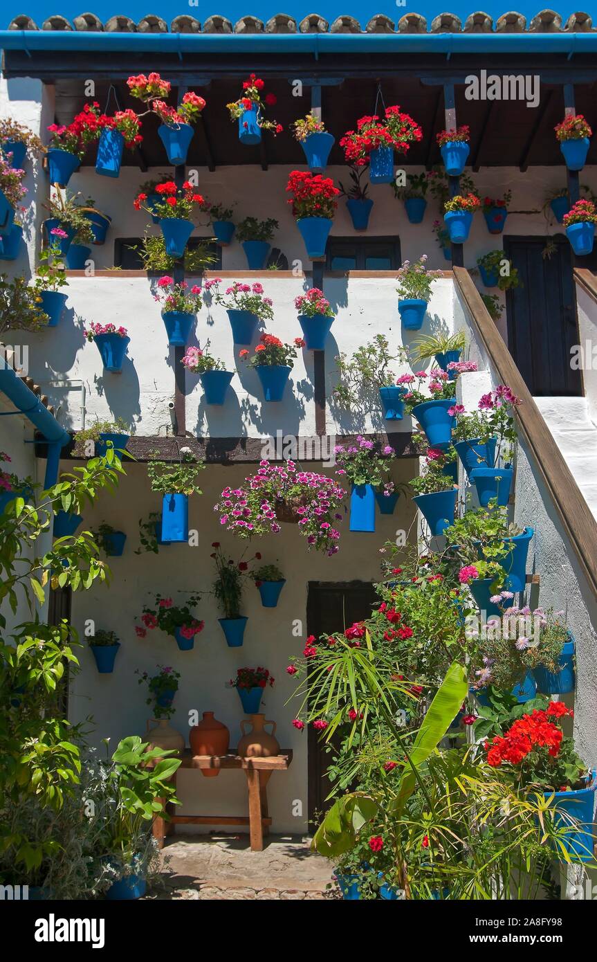 Typische Innenhof des San Basilio, Cordoba, Andalusien, Spanien, Europa. Stockfoto