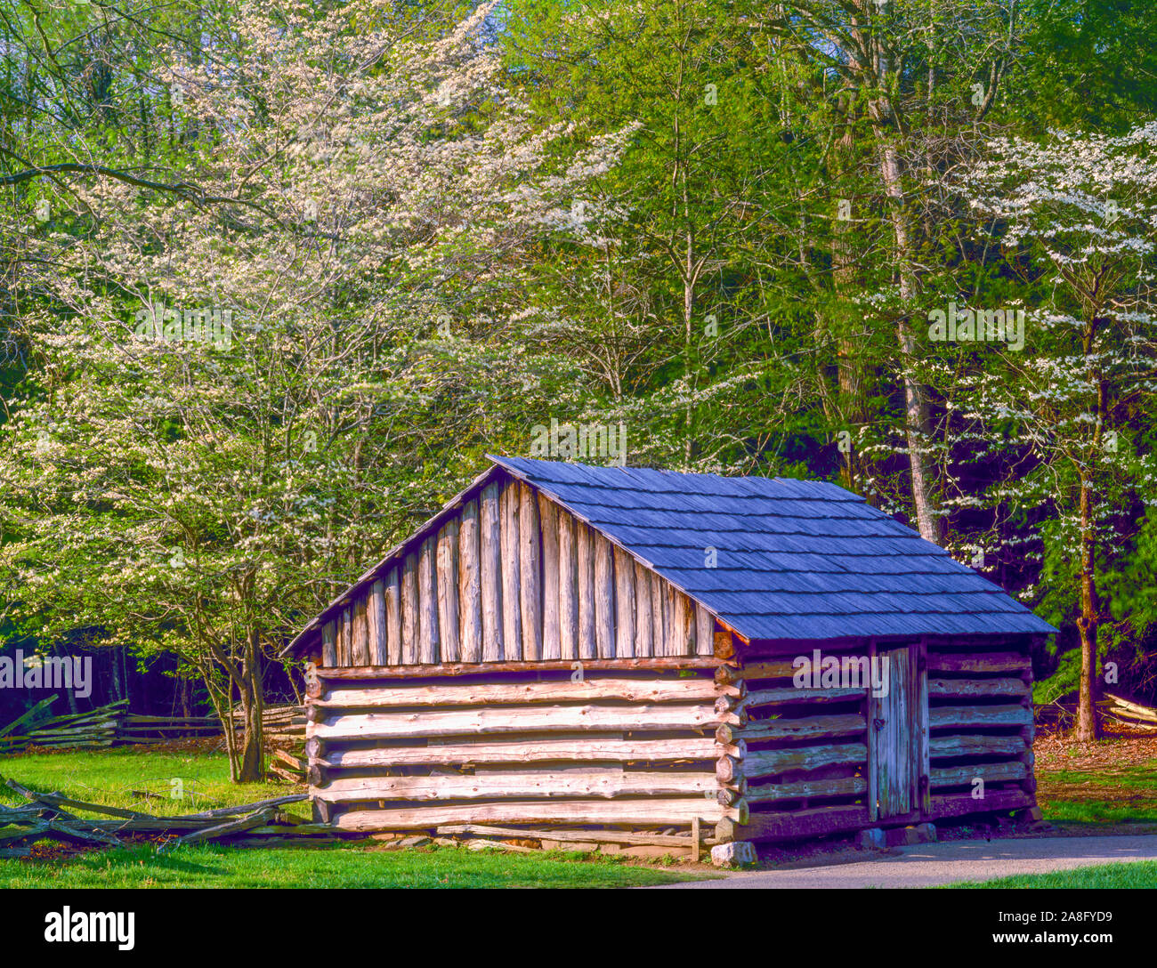 Kabine im Frühjahr, Great Smoky Mountains National Park, Tennessee, Cades Cove, südlichen Appalachians Stockfoto