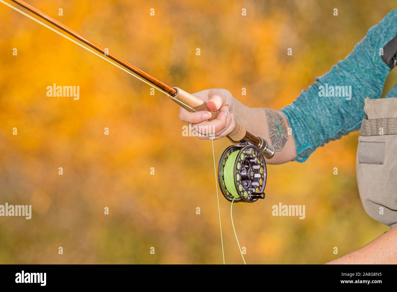 Eine Nahaufnahme der Hände ist eine Frau, die ihre Fly-fishing Line, Haspel und die Stange halten an einem sonnigen Herbsttag entlang dem Poudre River in den Colorado. Stockfoto