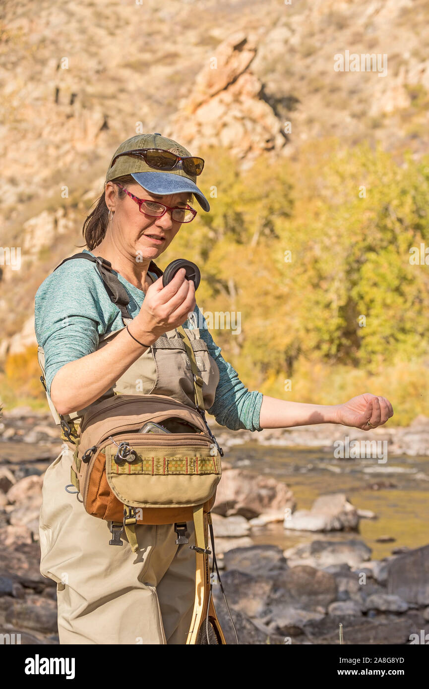 Eine Frau zieht Sie den Schieber der Linie aus Ihrem hip Pack und beginnt ein Abschnitt in der Vorbereitung der Fischerei auf einem sonnigen Herbst Tag entlang dem Poudre River zu ziehen Stockfoto