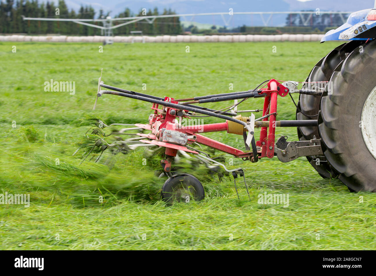 Canterbury, Neuseeland, 9. November 2019: Ein Traktor von Massey Ferguson und Kverneland Rasenmäher Schneiden von Gras für Silage auf einem ländlichen Bauernhof Stockfoto