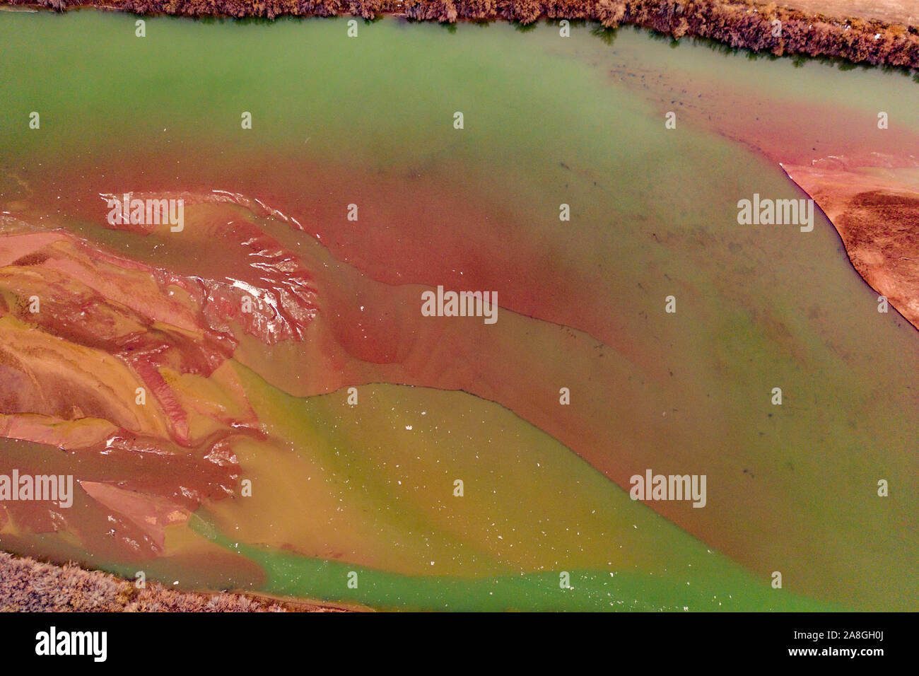 Colorado River Grün- und Rottöne im Winter vom warmen Winter Algen und niedrige Wasserstand des Flusses., Rot kommen aus Fluss Sand, in der Nähe von Moab, Utah Stockfoto