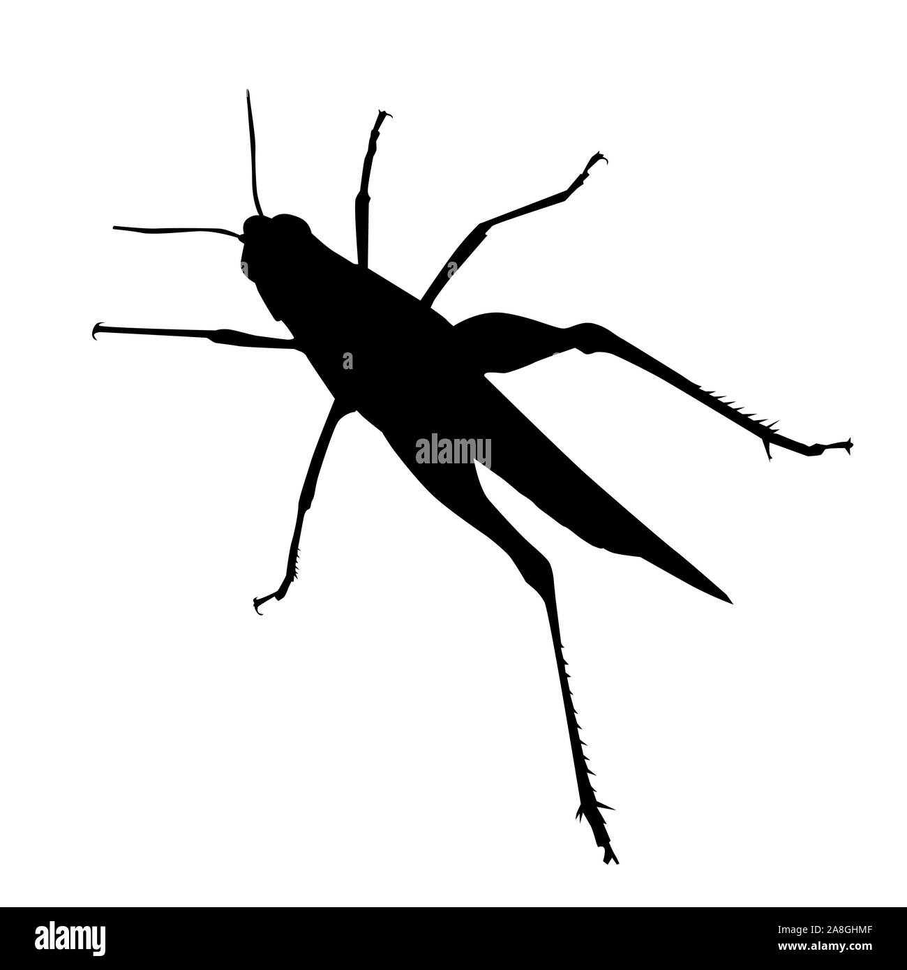 Grasshopper vektor Silhouette auf weißem Hintergrund isoliert Stock Vektor