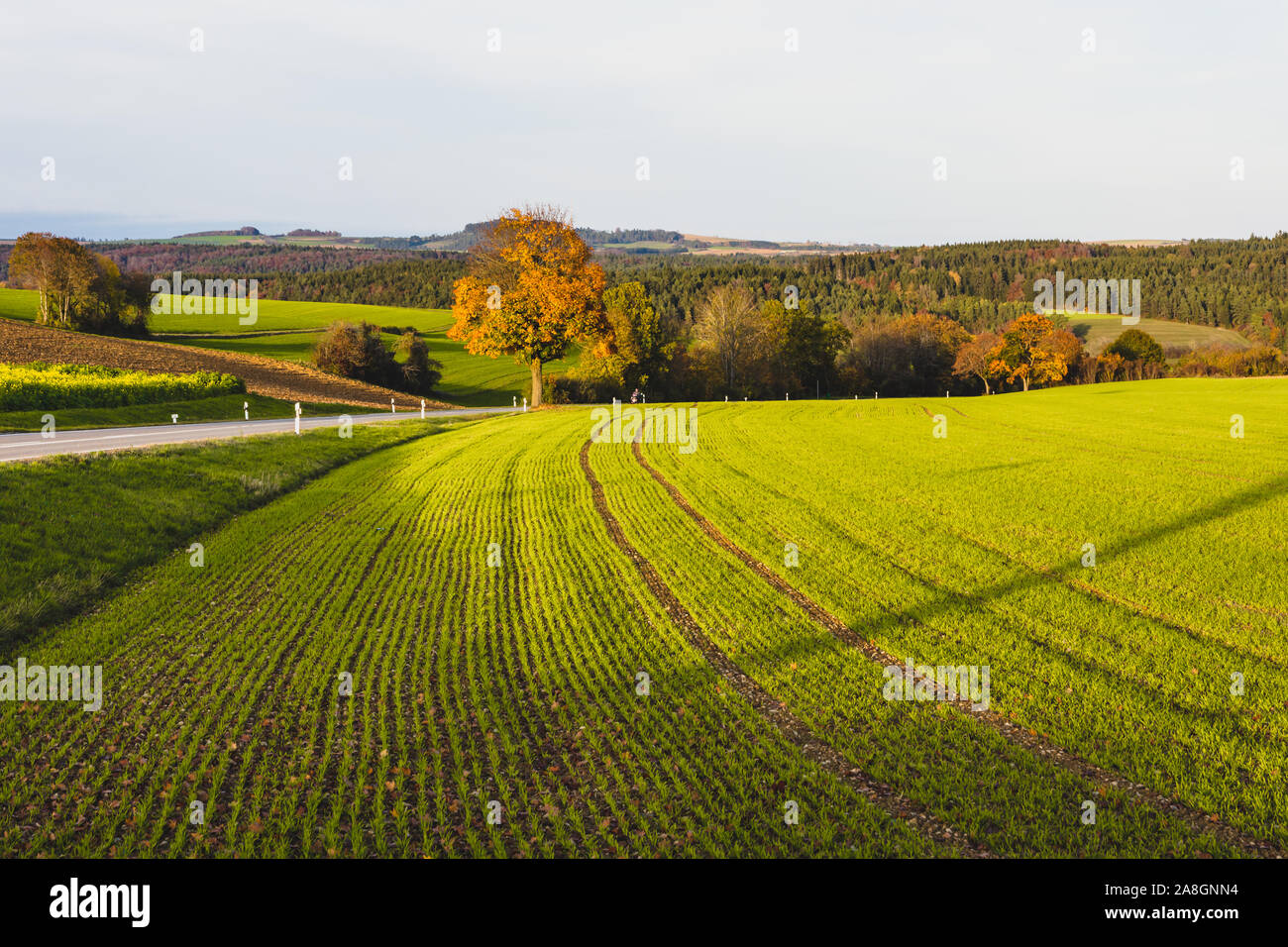Hegauer Landschaft bei Engen im Herbst, Baden-Württemberg, Deutschland Stockfoto