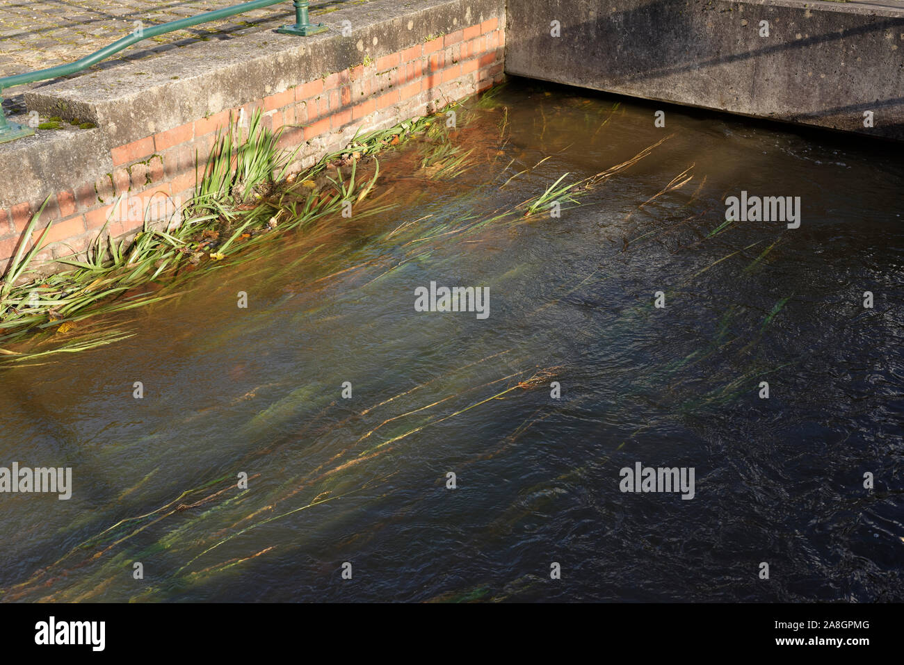 Kanal Wasser des Schrägförderers auf hohem Niveau unter Beton Fußgängerbrücke in Grate Country Park fließende Lancashire England bury Stockfoto