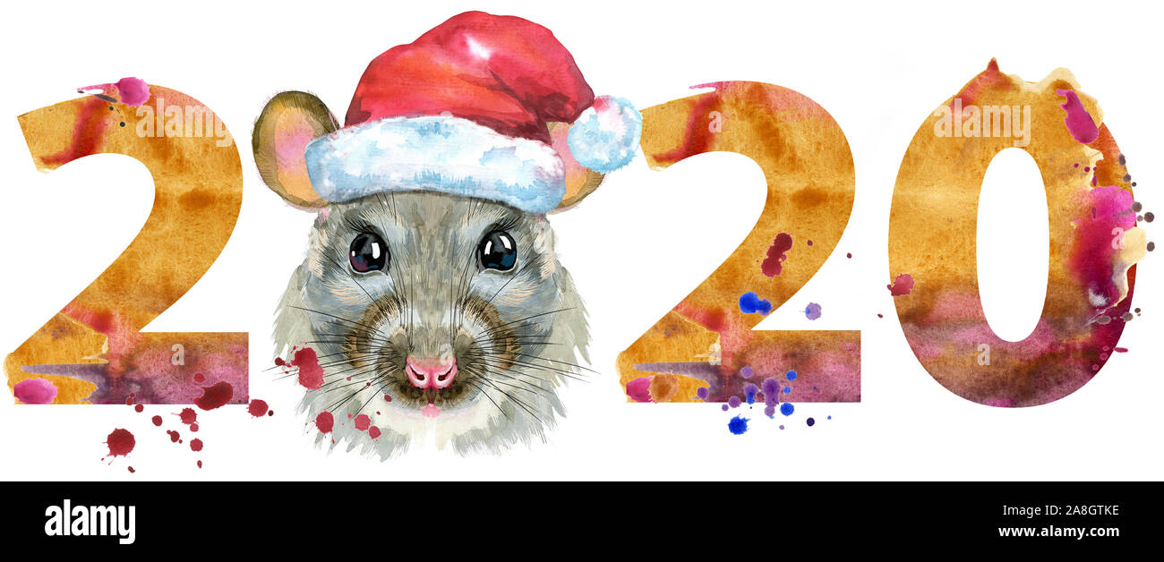 Süße Ratte für t-shirt Grafiken. Aquarell Ratte in Santa hat Illustration mit Jahr 2020 Stockfoto