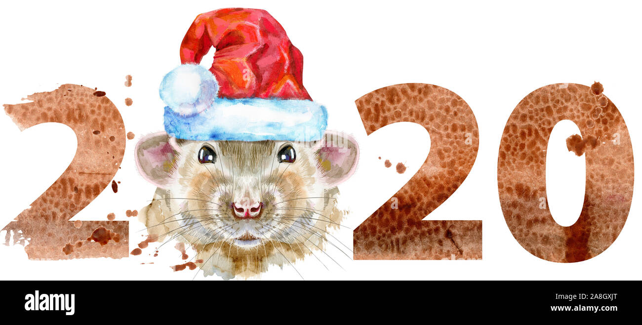 Süße Ratte für t-shirt Grafiken. Aquarell Ratte in Santa hat Illustration mit Jahr 2020 Stockfoto