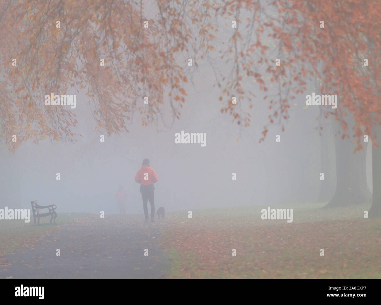 Northampton, UK, 9. November 2019, UK Wetter, nebligen kalten Morgen für die Wanderer in Abington Park, Herbst Farben angezeigt durch den Nebel. Credit: Keith J Smith./Alamy leben Nachrichten Stockfoto