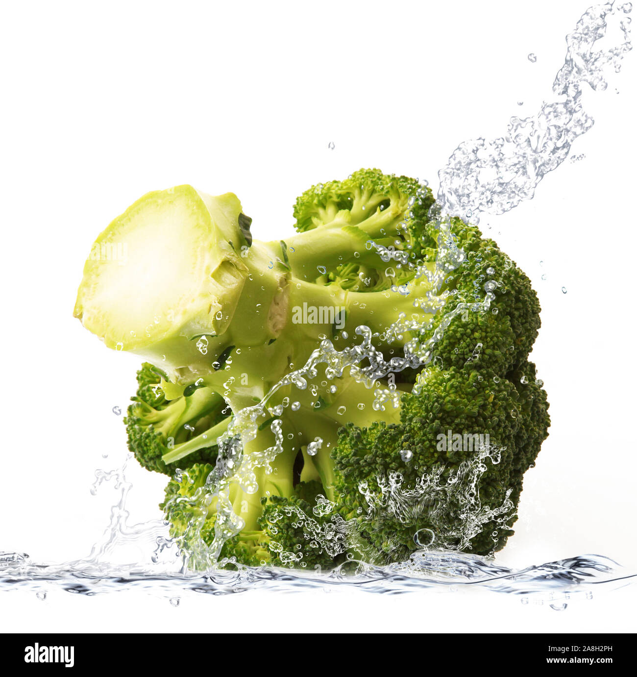 Frischer Kohl in reinem Wasser fallen Stockfoto