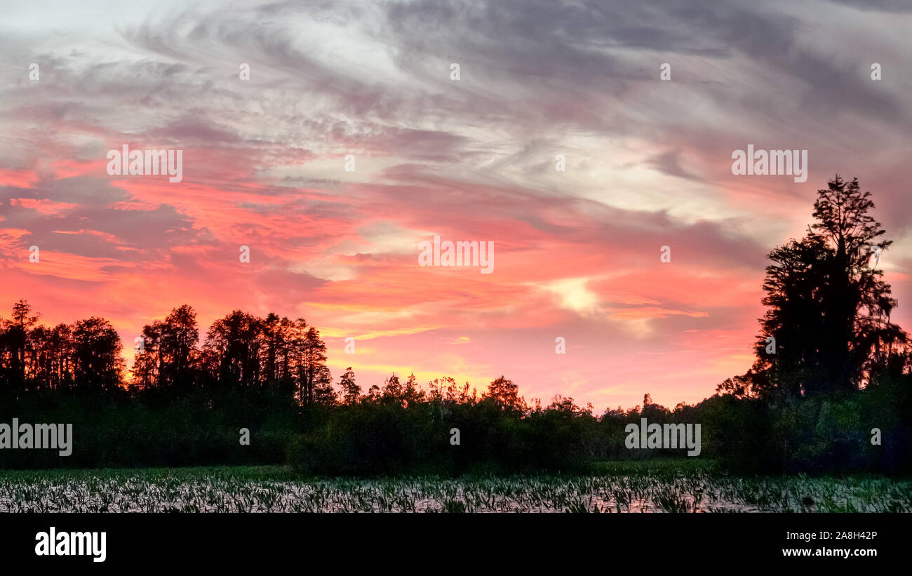 Hellen roten Sonnenuntergang Himmel bei okeefenokee Sumpf Stockfoto