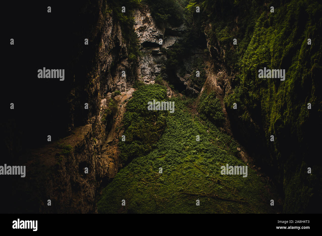 Schlucht Macocha oder Schlucht Macocha, einem epischen Doline im Mährischen Karst Höhlensystem, Mährischer Karst, Tschechische Republik Stockfoto