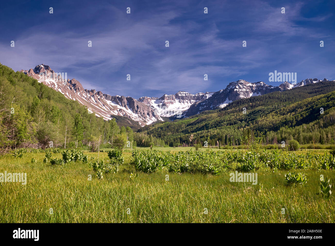 Mount Sneffels, San Juan, Berge, Colorado, USA Stockfoto