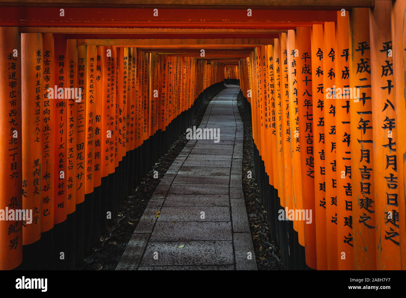 Rote Torii Tore in Fushimi Inari Schrein in Kyoto, Japan Stockfoto