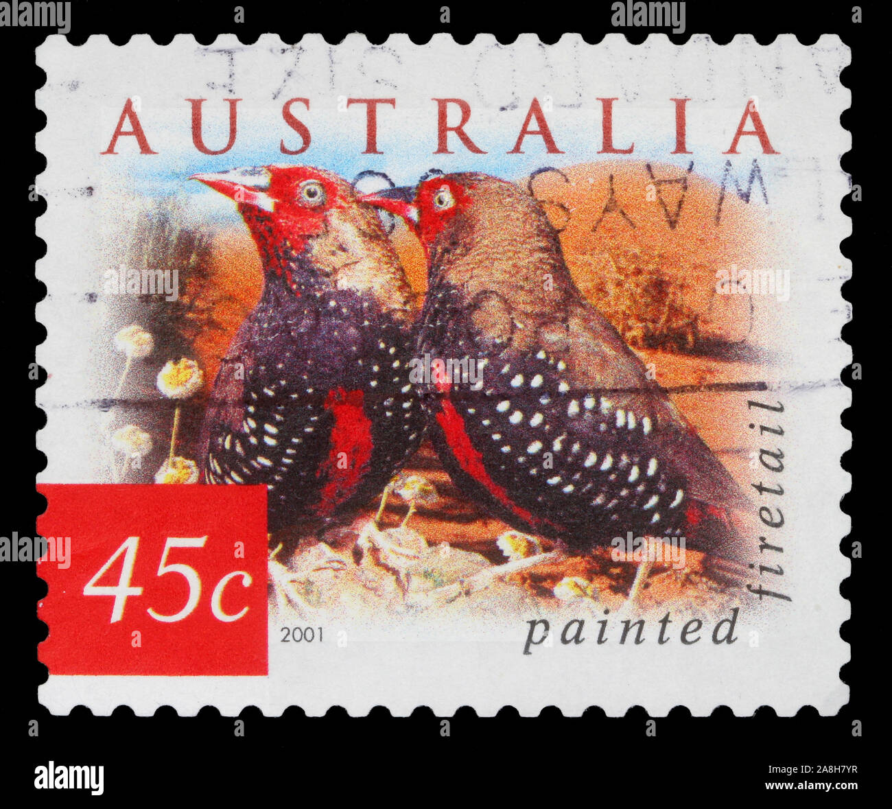 Stempel gedruckt in Australien zeigt die bemalte Firetail, Fauna und Flora, Serie, ca. 2001 Stockfoto