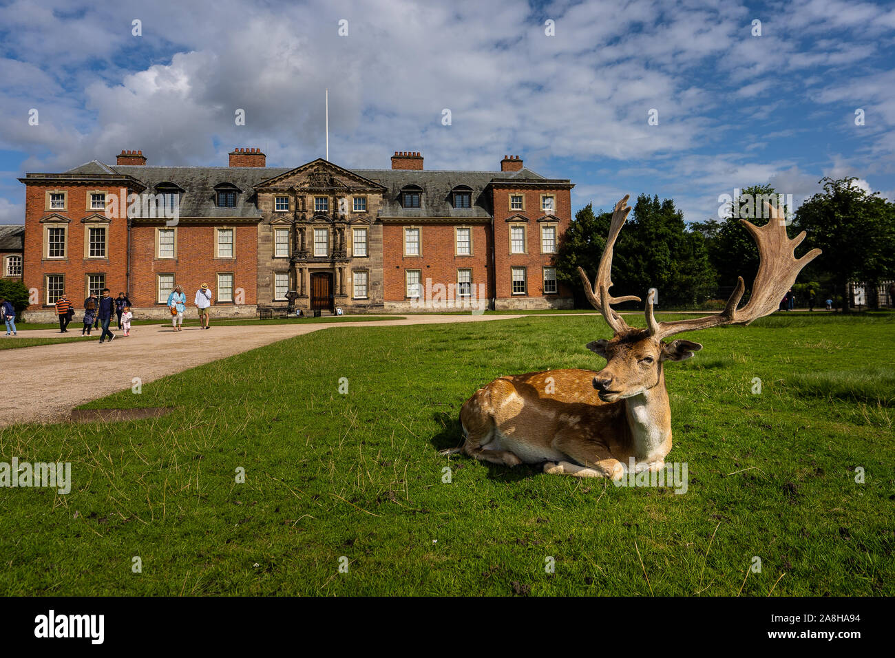 Atemberaubende Landschaft von Wild in Dunham Massey, alten historischen Haus in Greater Manchester, Teil des National Trust Foundation von Eigenschaften in Großbritannien Stockfoto