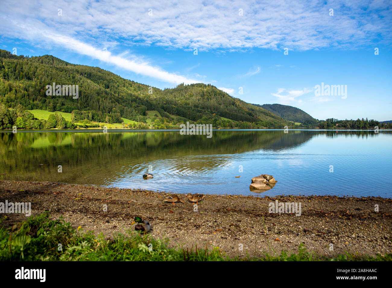 Malerische Küste des Lake Schliersee an einem sonnigen Tag mit blauen Himmel in Bayern, Deutschland Stockfoto