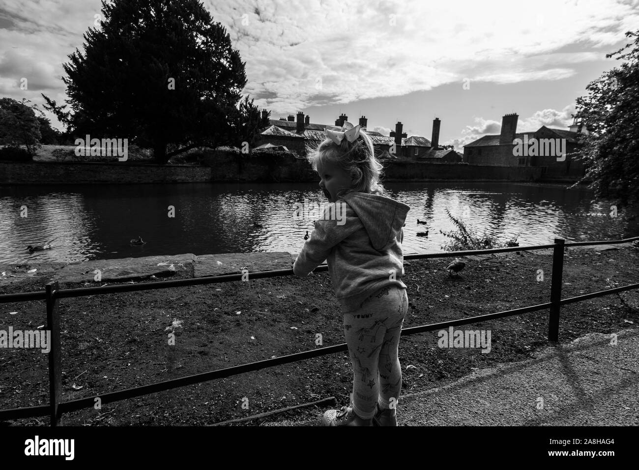 Ein kleines Mädchen erforscht die Gründe der Dunham Massey, Damwild und das Haus und die Gärten, Kind in der Landschaft UK suchen Stockfoto