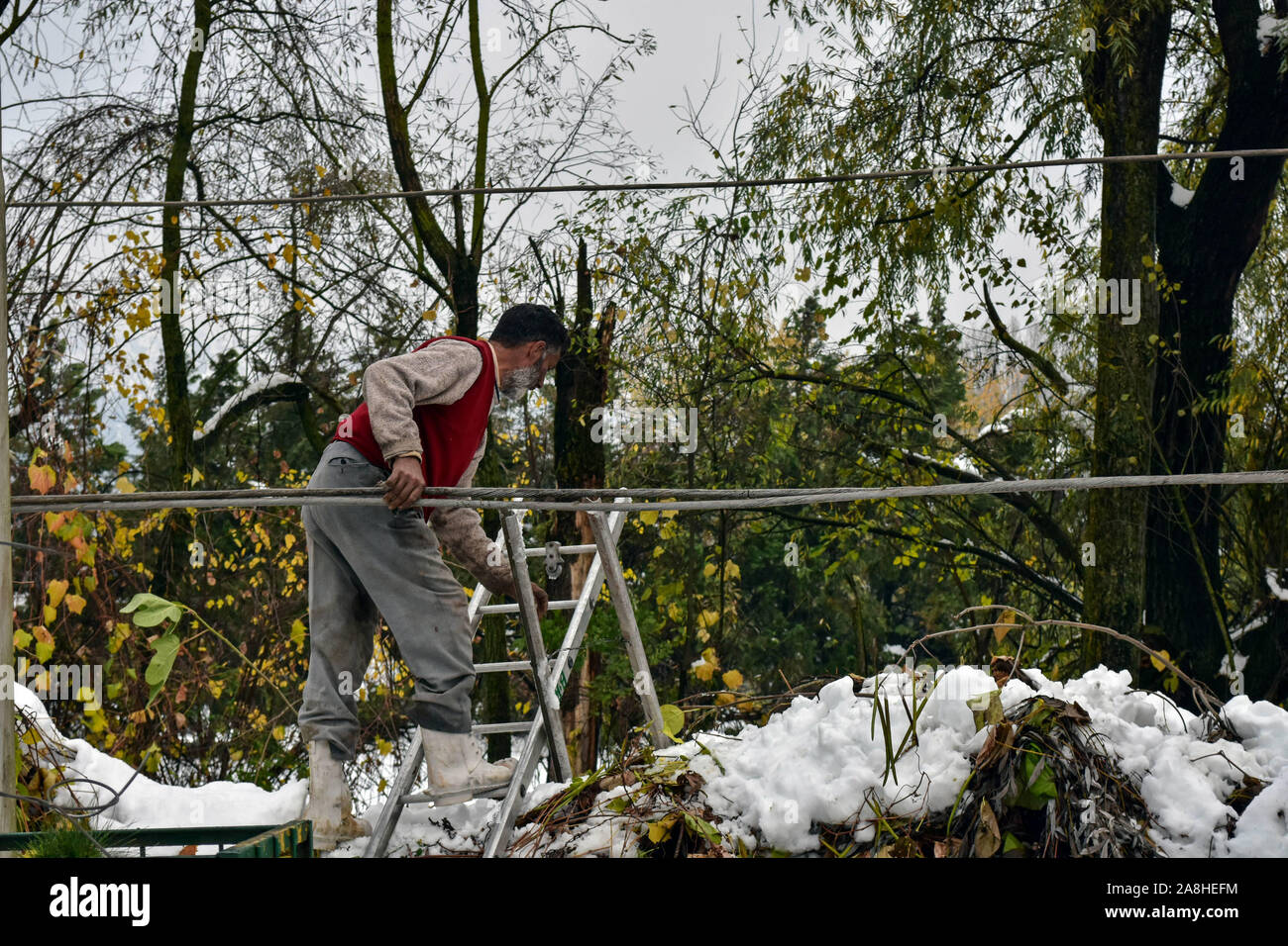 Kaschmir, Indien. 09 Nov, 2019. Ein Arbeiter Reparaturen elektrische Leitungen nach Der starke Schneefall in den Außenbezirken von Jammu und Kaschmir. Mindestens sieben Menschen starben in verschiedenen Vorfälle an vielen Orten des Tals während Jahreszeiten ersten Schneefall. Eine meteorologische Abteilung hat trockenes Wetter in der Region für die nächste Woche vorhergesagt. Credit: SOPA Images Limited/Alamy leben Nachrichten Stockfoto