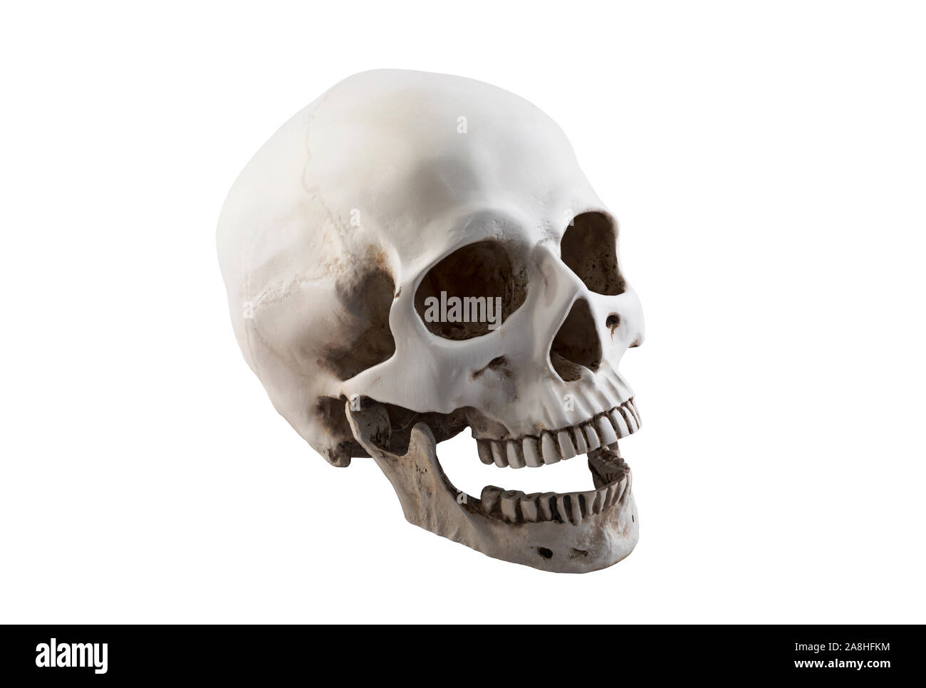 Menschlicher Schädel mit open jaw auf weißem Hintergrund mit Freistellungspfad isoliert Stockfoto Menschlicher Schädel mit open jaw auf weißem Hintergrund mit Freistellungspfad isoliert Stockfoto