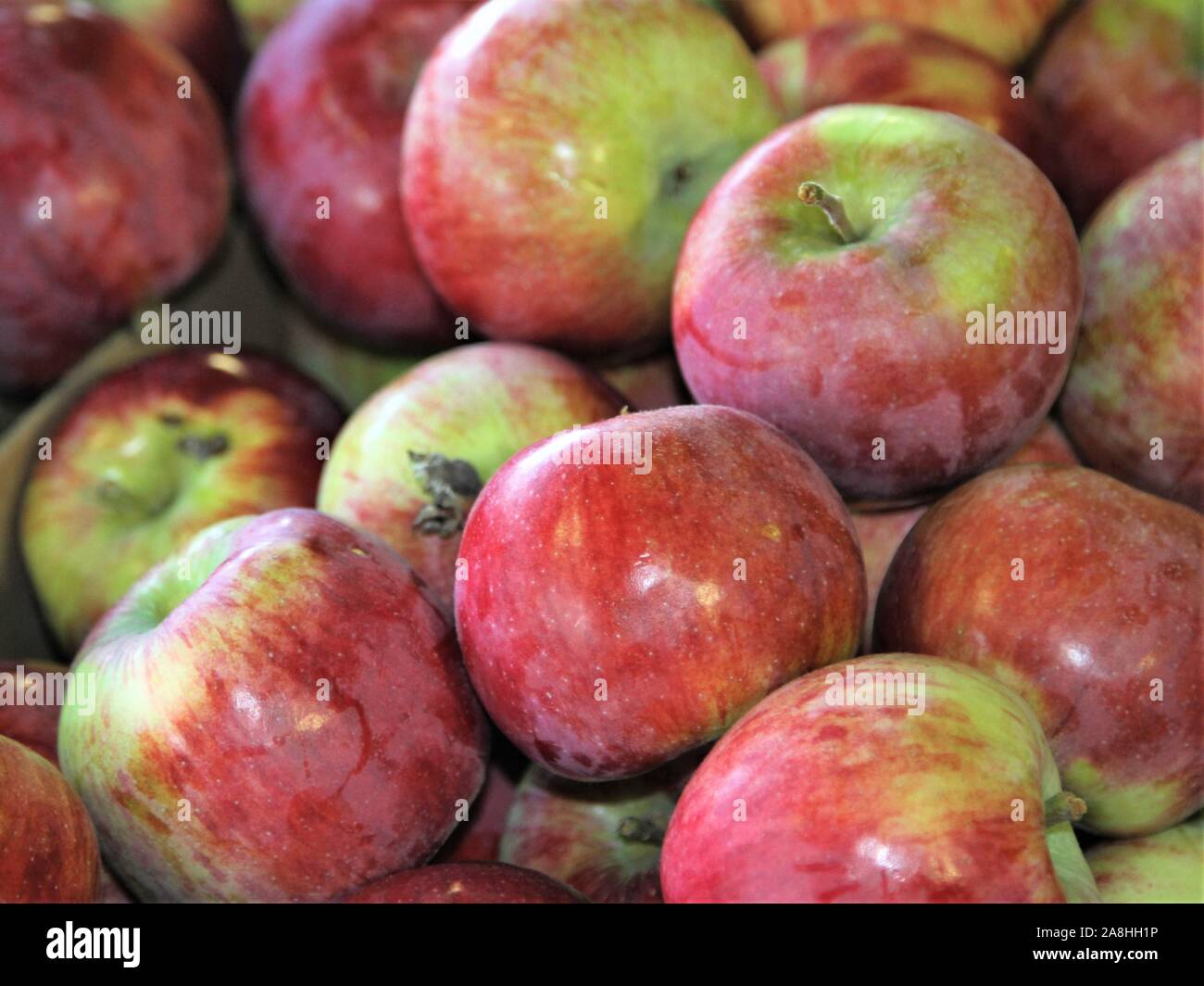 Rote Äpfel in einem Markt Stockfoto