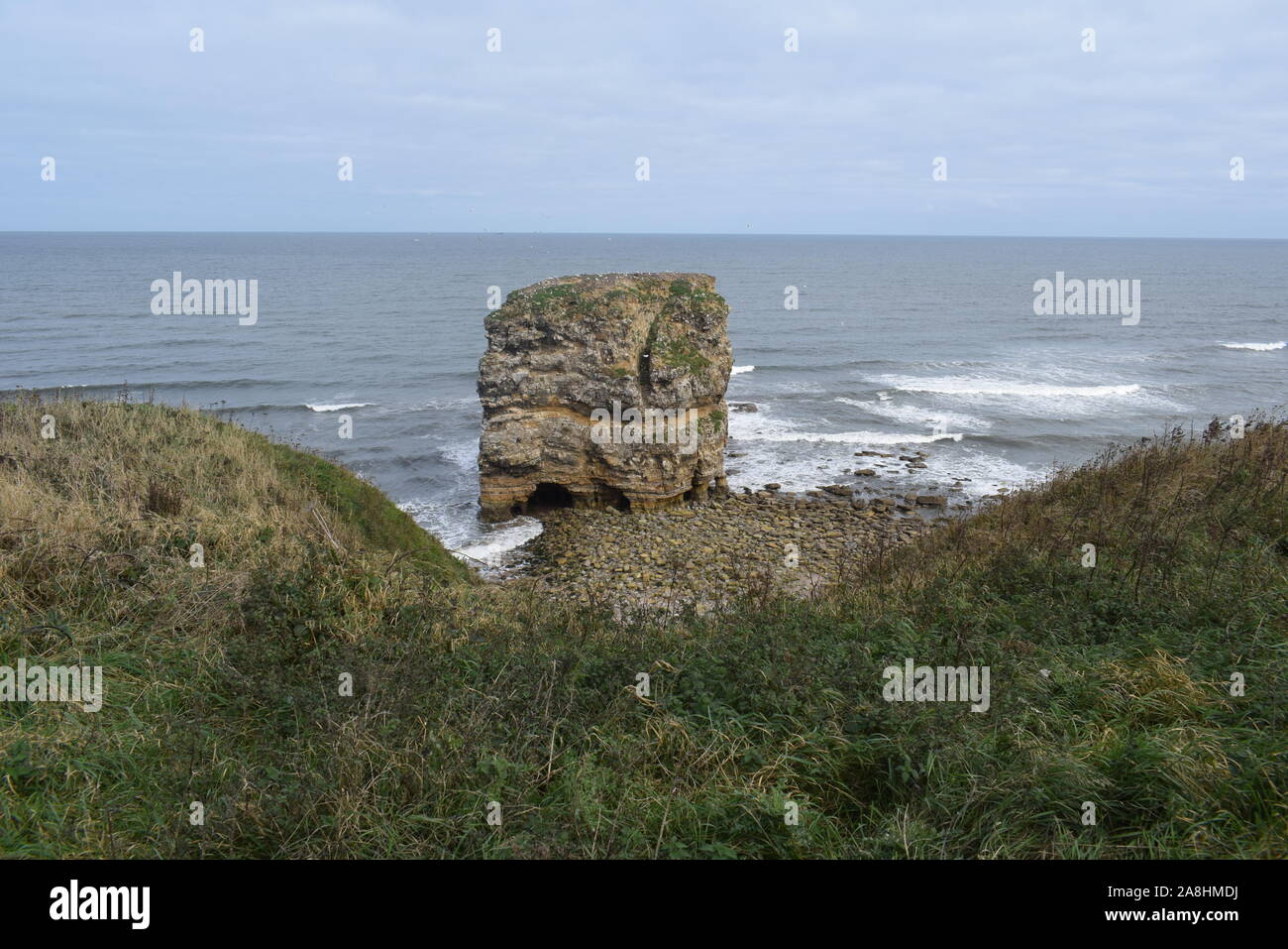 Lizard Point Stockfoto