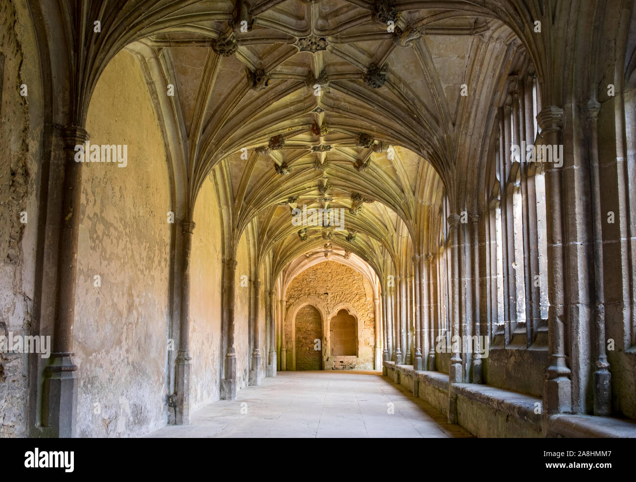 Lacock Abbey Cloisters in Wiltshire. Einst eine Klosterabtei, dann ein herrschaftliches Haus, schönes Beispiel der gewölbten Decke mit Ventilator Stockfoto