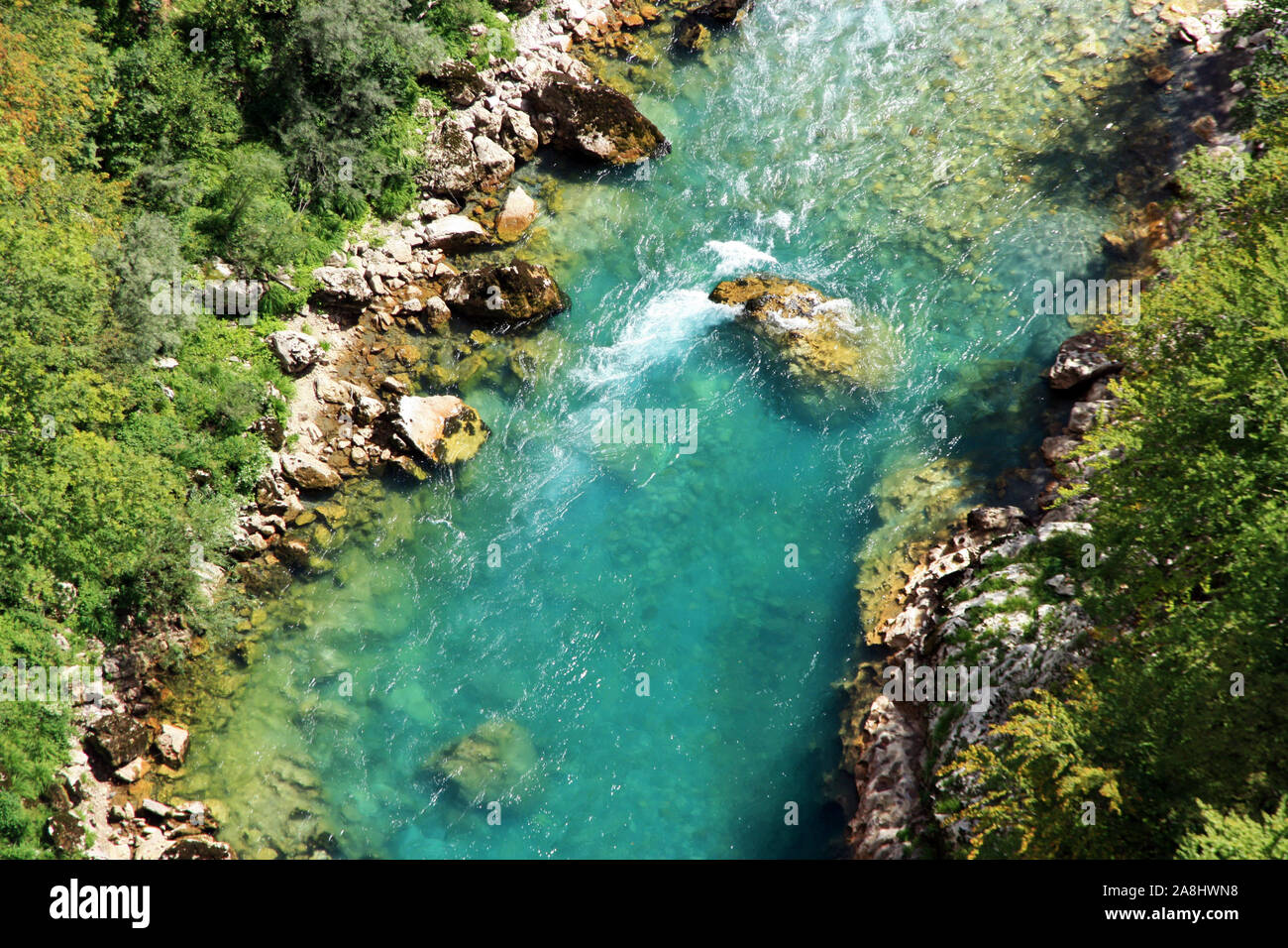Mountain River im Sommer. Schöne saubere klare blaue Wasser. Montenegro Natur. Stockfoto