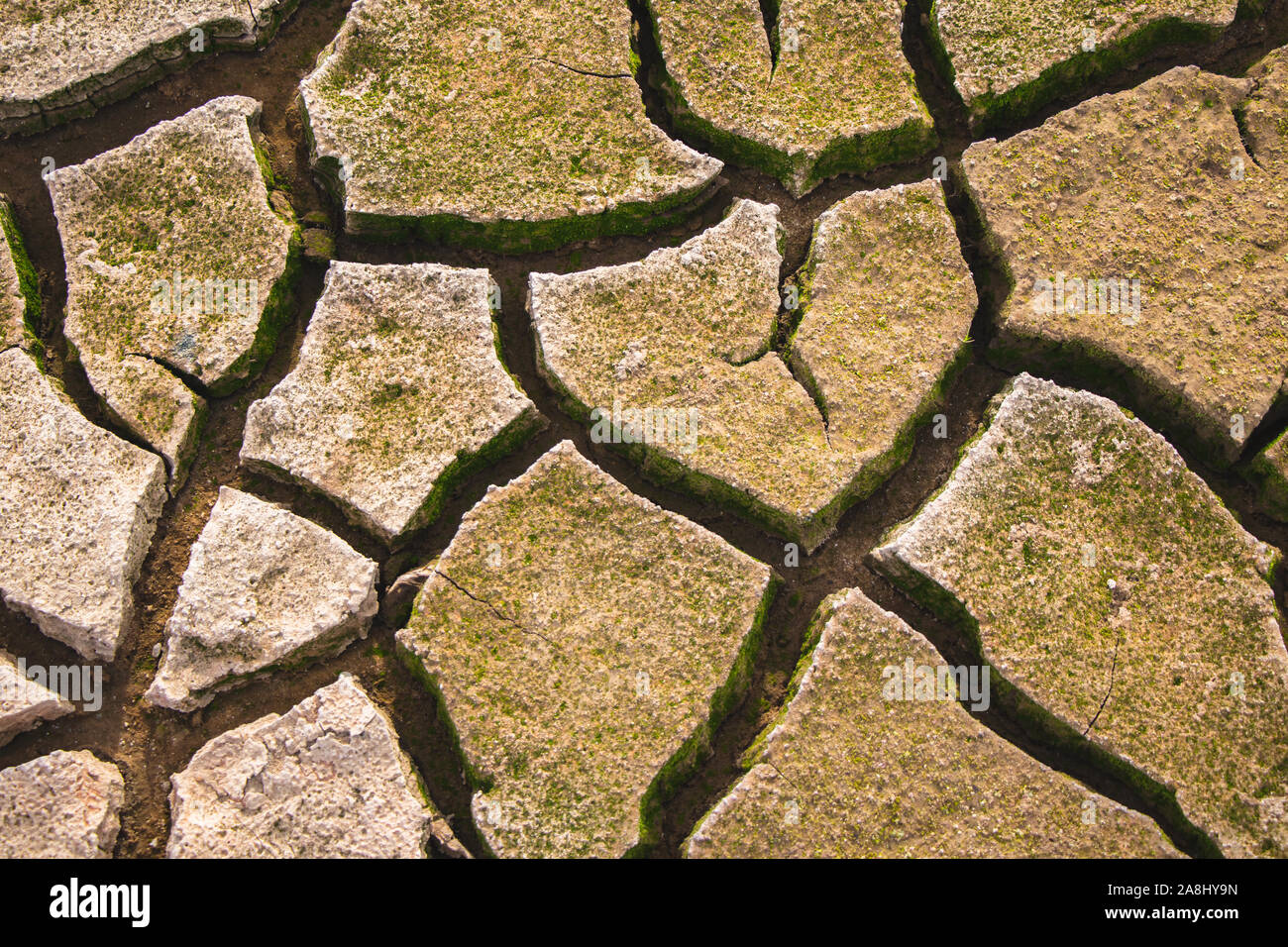 Wüste mit großen Risse durch eine schwere Dürre verursacht. Die globale Erwärmung folgen. Stockfoto