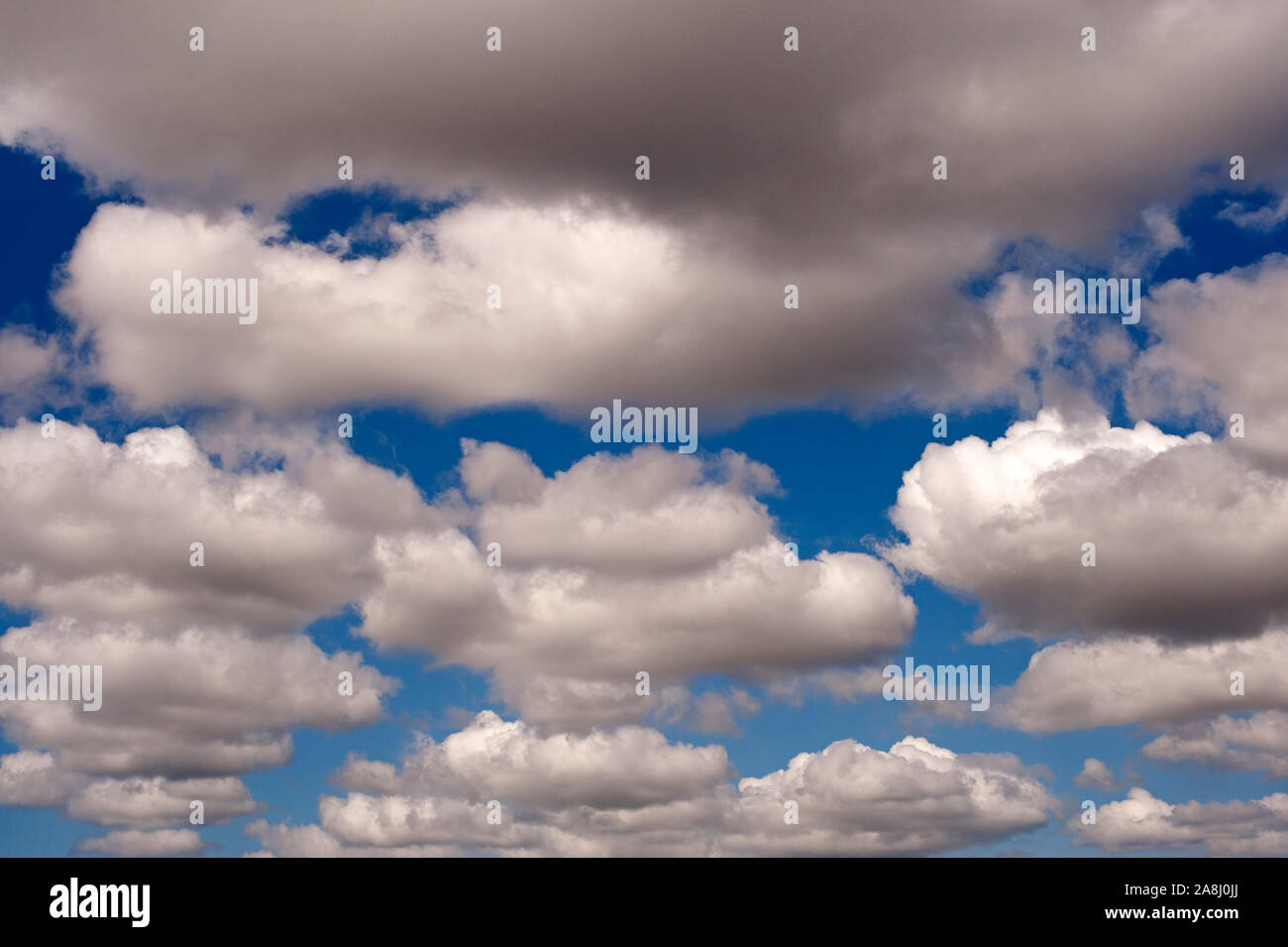 Cumulus Wolken im blauen Himmel im Sommer Tag Stockfoto
