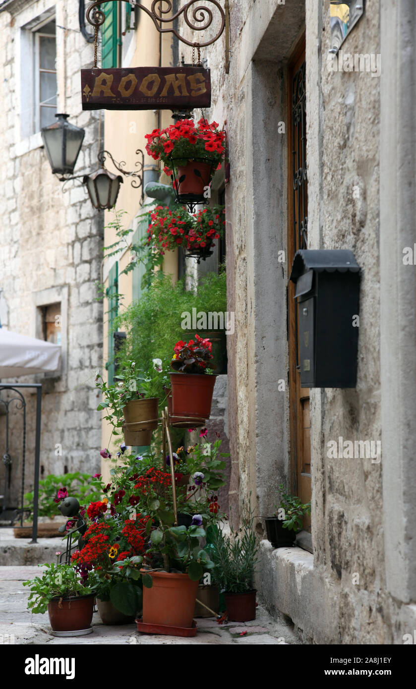 Mediterranes Haus mit Blumen in Kotor, Montenegro Stockfoto