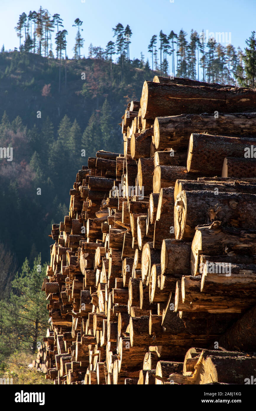 Woodpile in der Steiermark, Österreich Stockfoto