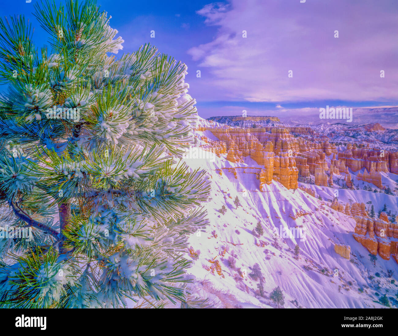 Frischer Schnee auf der Felge, Bryce Canyon National Park, Utah Sunrie Punkt Stockfoto