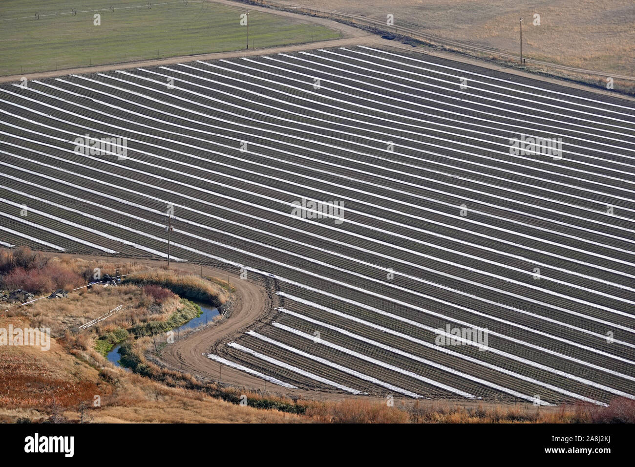 Ein Feld vorbereitet für eine Ernte von industrieller Hanf, im darauf folgenden Jahr in Central Oregon gepflanzt werden. Stockfoto