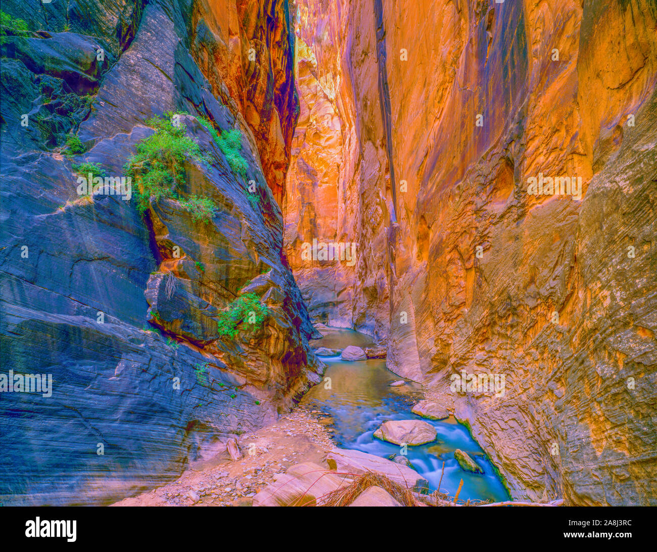 Parunuweap Canyon, der Zion National Park, Utah Osten Forj des Virgin Flusses Stockfoto