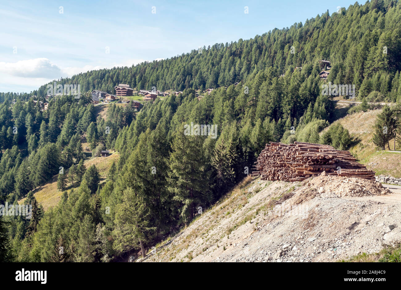 Holzhäuser in den Wiesen des Schweizer Alpen im Saint Luc Tal an einem sonnigen Tag. Stockfoto