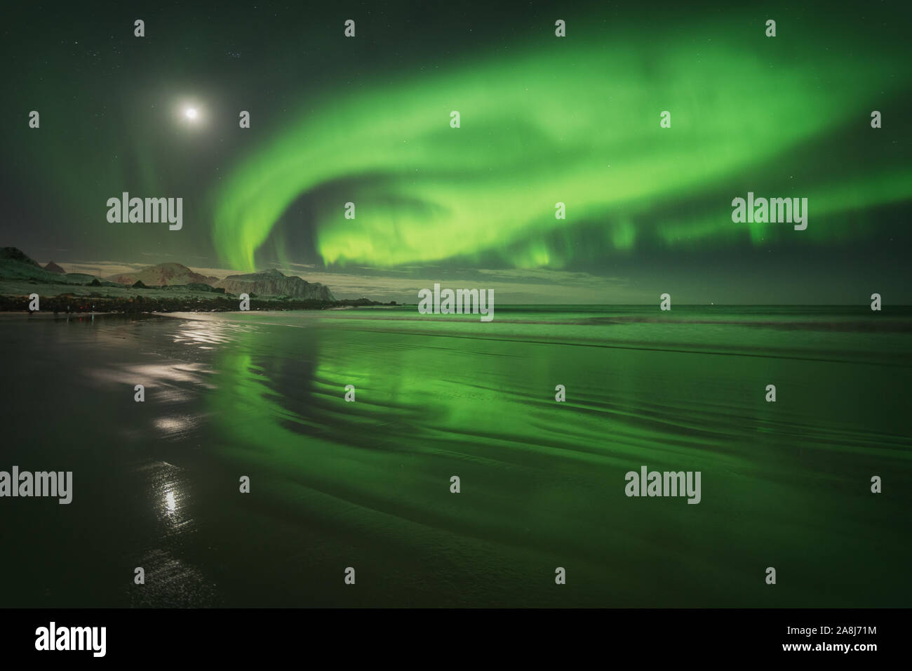 Aurora borealis in Lofoten Inseln, Norwegen. Winter kalte Nacht und das Nordlicht. Verschneiten Gipfeln und eine arktische Strand Stockfoto
