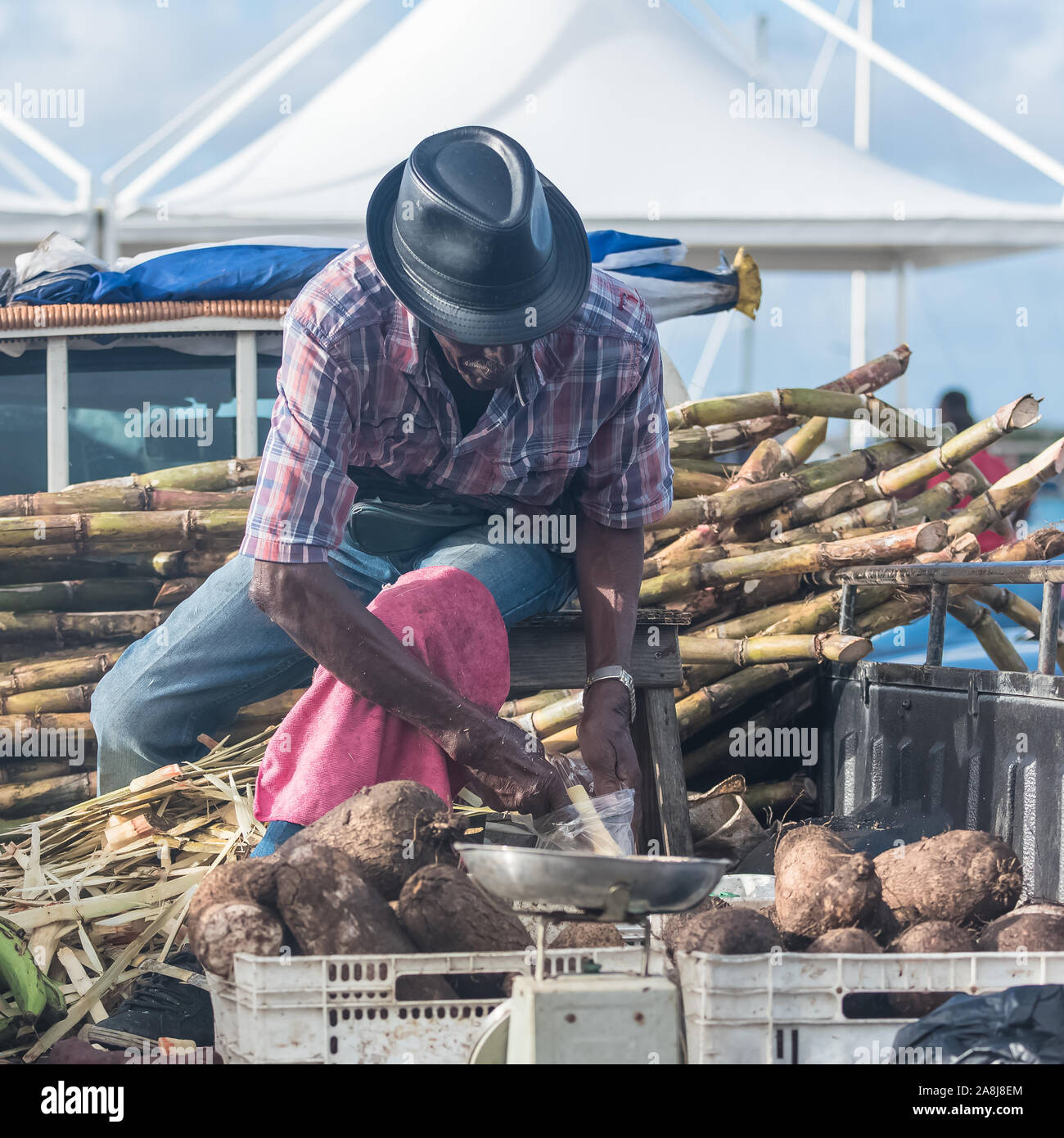 Marie-Galante-Insel in Guadeloupe, Mann, der Zuckerrohr auf dem Markt schält Stockfoto