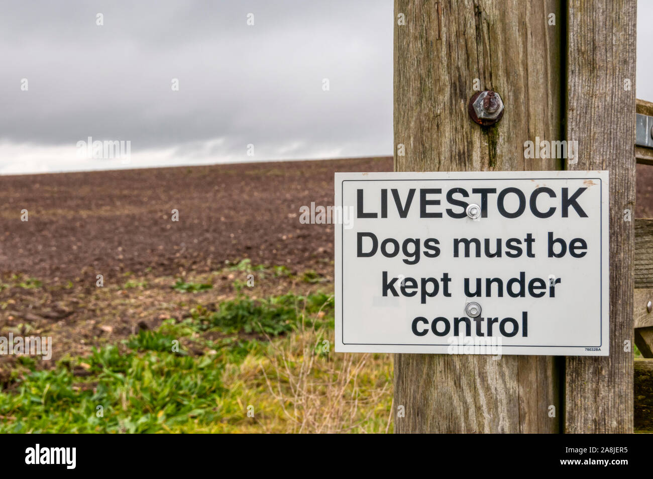 Ein Zeichen auf einen Fußweg über Norfolk Ackerland warnt, dass Hunde müssen unter Kontrolle, weil der Tiere gehalten werden. Stockfoto
