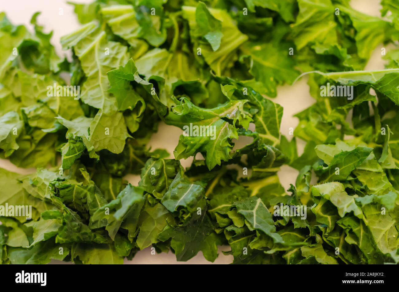 Gehackte frische organische super Essen Kale verlässt. Im Gemüsegarten Homegrown. Köstliche, nahrhafte gesunde Blattgemüse von dunklen Grüns. Stockfoto