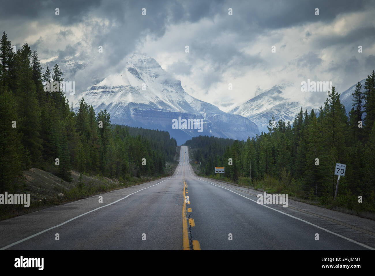 Icefields Parkway, der Panoramastraße durch die Rocky Mountains. Bewölkten Tag. Pfad zwischen dem Pinienwald und dem riesigen Berg am Ende. Stockfoto