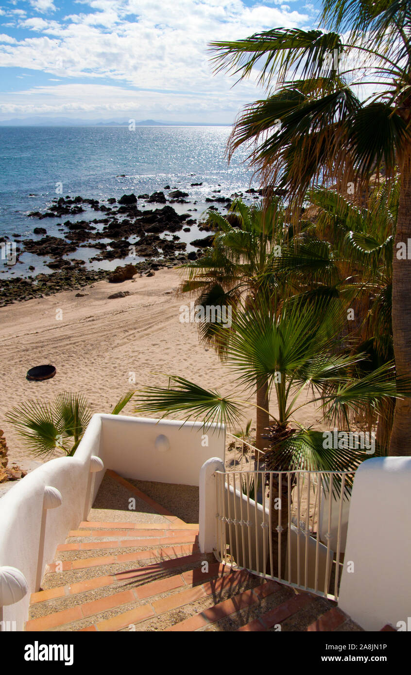 Treppe und Palmen Stockfoto Treppe und Palmen Stockfoto