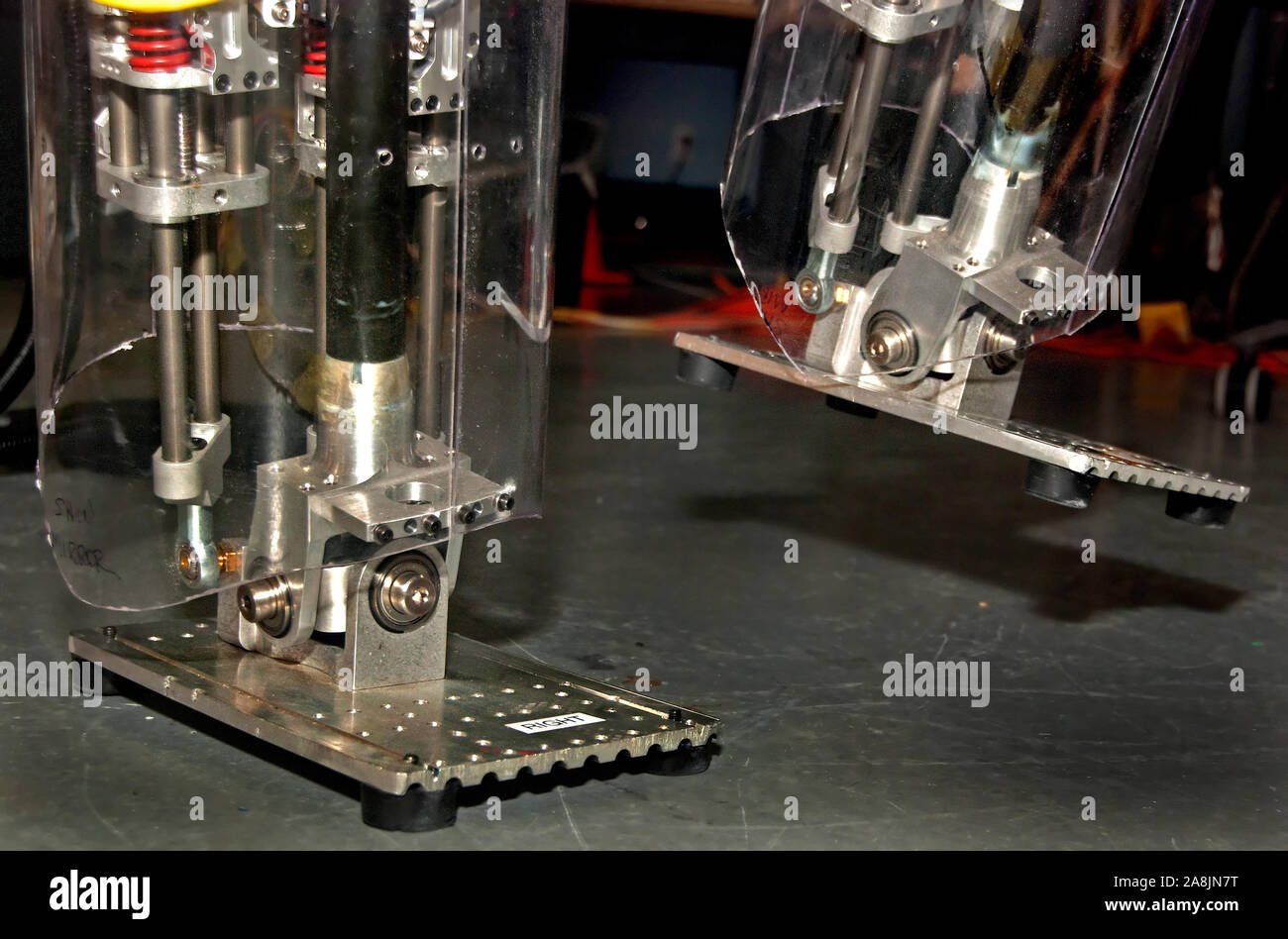 M2 V2, einer zweibeinigen Roboter, Spaziergänge am Institut für Mensch und Maschine erkennen in Pensacola, Florida. Stockfoto